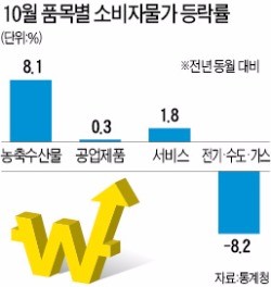 소비 꺾였는데…물가 왜 들썩이나