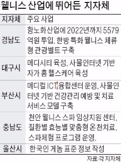 대구시·울산시·충남도·경남도, 776조 웰니스시장 공략한다