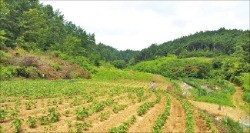 [한경매물마당] 충남 태안군 범용 부지 등 7건