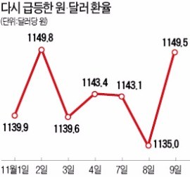 [미국의 선택 트럼프] 원·달러 환율 장중 1160원 육박…멕시코 페소화 가치 13% '추락'