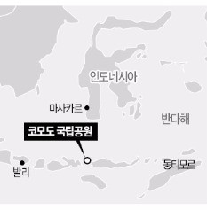 [여행의 향기] 바다 위 낭만적 하룻밤…코모도는 꿈결 같았다