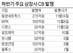 [마켓인사이트] 하반기 공모 BW 발행 '실종 사건'