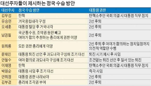 잠룡들 '정국 해법' 10인 10색…촛불 따라 오락가락, 혼란 더 키워