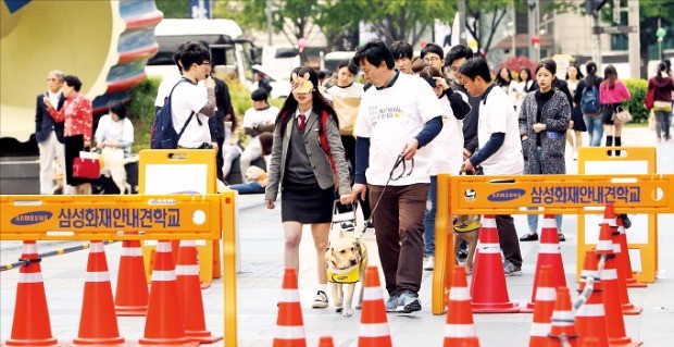 삼성화재 안내견학교 훈련사들이 안내견 보행훈련을 시키고 있다. 삼성화재 제공 