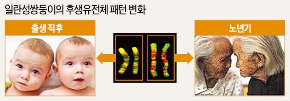 당뇨·비만 등 후천적 질환 비밀 밝힐 '유전체 지도' 공개