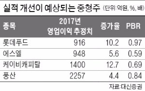 연말이면 뜨거워지는 기관의 '중형주 사랑'