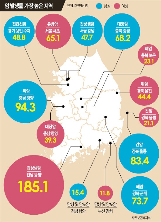 서울 서초·경기 용인에 유방암·전립선암 환자 많다