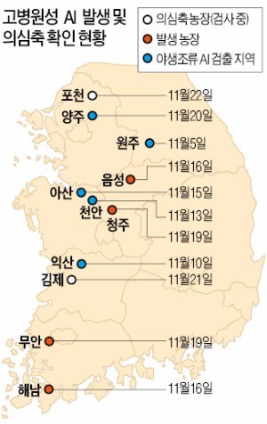 수도권까지 확산된 AI…위기경보 '경계'로 상향