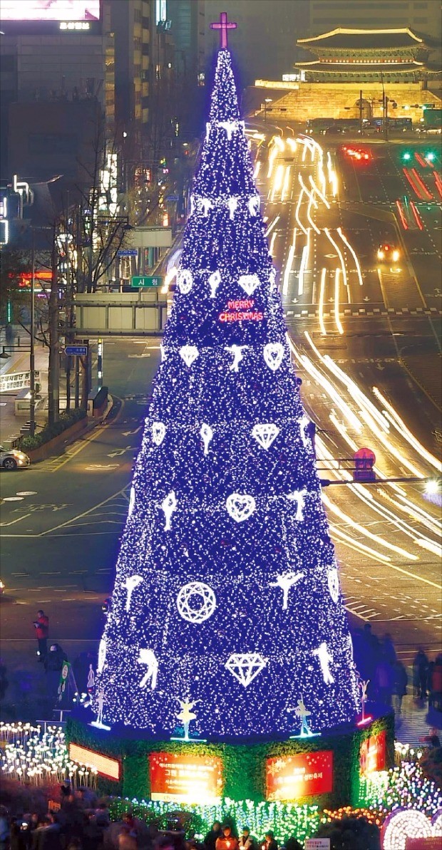 서울광장 밝힌 크리스마스 트리