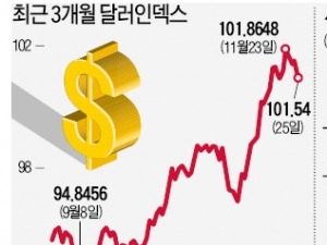 강달러 장세에도…수출주, 업종별 '희비' 엇갈리네