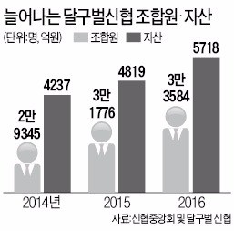 '문화예술경영' 덕 본 대구 달구벌신협