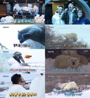 '무한도전' 정준하, 북극곰을 향한 진심 (종합)