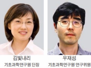 암 비밀 풀 'miRNA 생성과정' 연구, 올해 생명과학 우수 성과 '톱5'