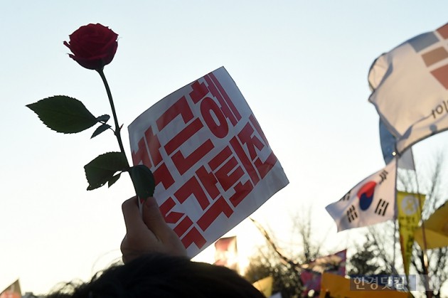 [포토] 붉은 장미꽃으로 탄핵 자축하는 시민들