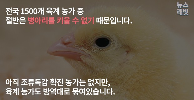 [뉴스래빗] 요즘 'AI 치킨' 먹어도 돼요?