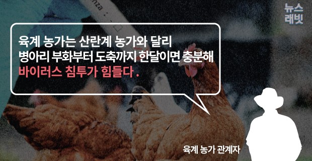 [뉴스래빗] 요즘 'AI 치킨' 먹어도 돼요?