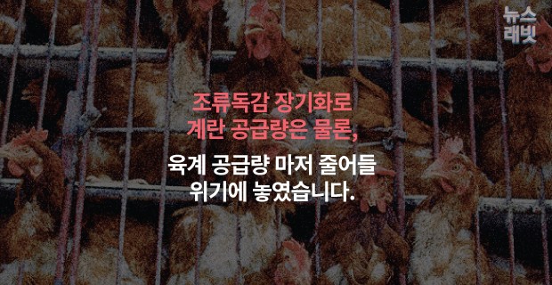 [뉴스래빗] 요즘 'AI 치킨' 먹어도 돼요?