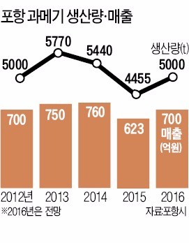 포항 '과메기 경제효과' 4000억