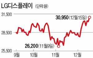 반짝이는 디스플레이주