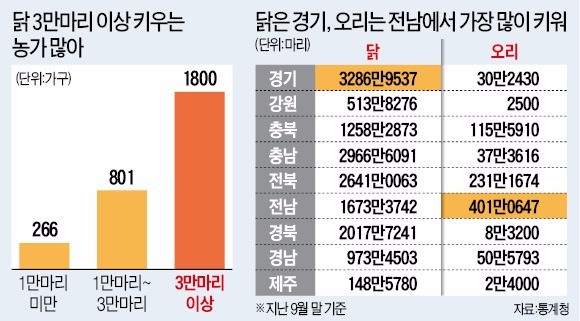 [최악 치닫는 AI 피해] AI 급속 확산 왜, 변종 바이러스 등장·농가 간 감염까지…정부는 부실대응