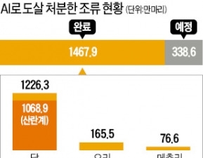 '달걀 대란' 현실화 우려…대형마트 판매제한 돌입