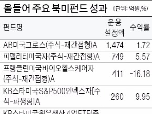 "미국인덱스펀드로 안정성 높여야"