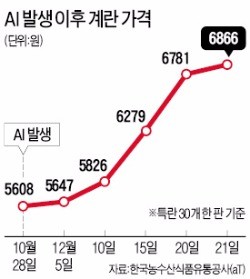 [뻥 뚫린 국가방역망] '계란 대란' 확산…이마트도 '1인 1판' 판매 제한