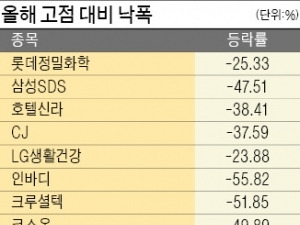 실적 받쳐주는 낙폭과대주, 내년 '1월 랠리' 가능성 크다