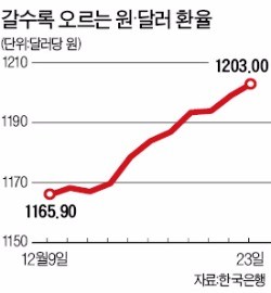 원·달러 환율 상승행진 가속…내년 상반기 1300원대 전망도