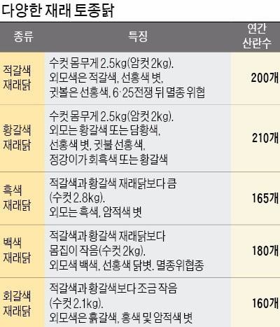 "닭대가리라고?…의사소통 위한 울음소리만 24개"