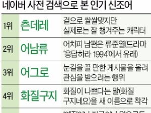 올해 가장 많이 검색된 신조어는 '츤데레'