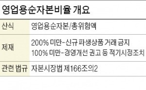 [마켓인사이트] 내년 닻 올리는 초대형 IB, 자본건전성 규제에 '발목'