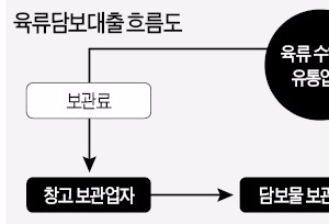 육류담보대출 부실 '비상'…금감원, 조사 착수