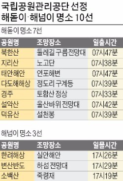 '정유년 해돋이' 여기가 명당