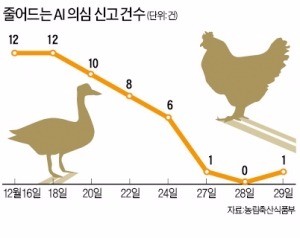 AI 다소 진정…의심신고 사흘째 주춤