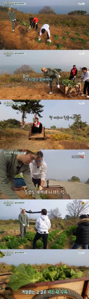 '삼시세끼' 이서진X에릭X윤균상, 농작물 수확도 척척