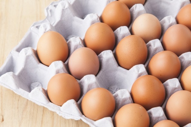 정부, 신선계란 2500만개 직접 수입…계란값 37일만에 하락