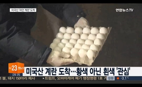 수입 계란 유통기한 세척 여부보관 온도 따라 달라 | 한국경제