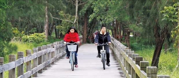 자전거를 타고 타이동의 삼림 공원을 달리는 연인.
 
