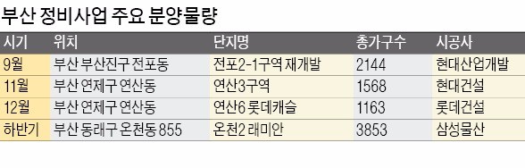 [대도약 2017] 거치 없이 원리금 분할상환 명심…'서울·부산' 재개발·재건축 청약 노려볼 만