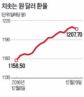 [대도약 2017] 당분간 강달러…1분기 1250원 찍을 수도