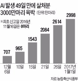 탠 카지노 살처분 3000만마리 육박…의심신고는 줄어 확산 '주춤'