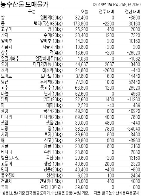 [농수산물 시세] 겨울 당근값, 작년보다 3배 껑충