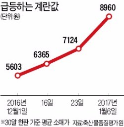 계란 판매상들의 비명 "이러다 절반은 망합니다"