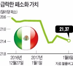 [글로벌 기업 빨아들이는 트럼프] 트럼프노믹스가 두려운 멕시코…페소화 가치 올들어 3.2% 하락