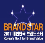  2017 대한민국 브랜드스타 공모