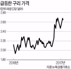 구리 시장에 중국 큰손 몰린다