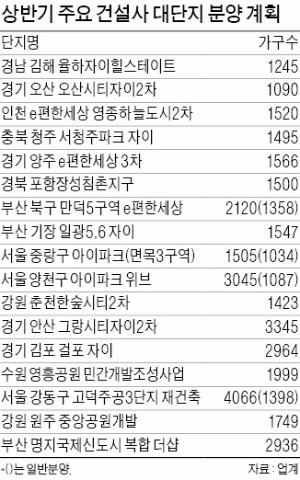 '브랜드 대단지' 상반기 3만가구