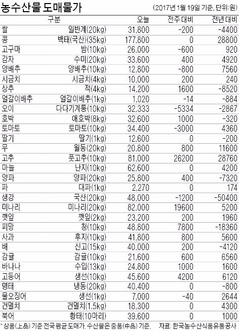 [농수산물 시세] 계란 가격 상승세 꺾였다