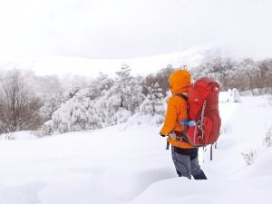 [여행의 향기] 한 발 한 발  '순백 세상' 속으로…마음 속 묵은 때 싹~